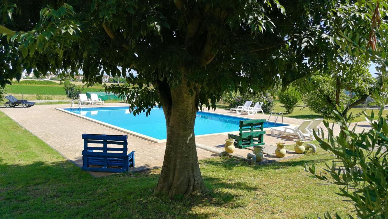 Moratto'S Apartments Umag Dış mekan fotoğraf