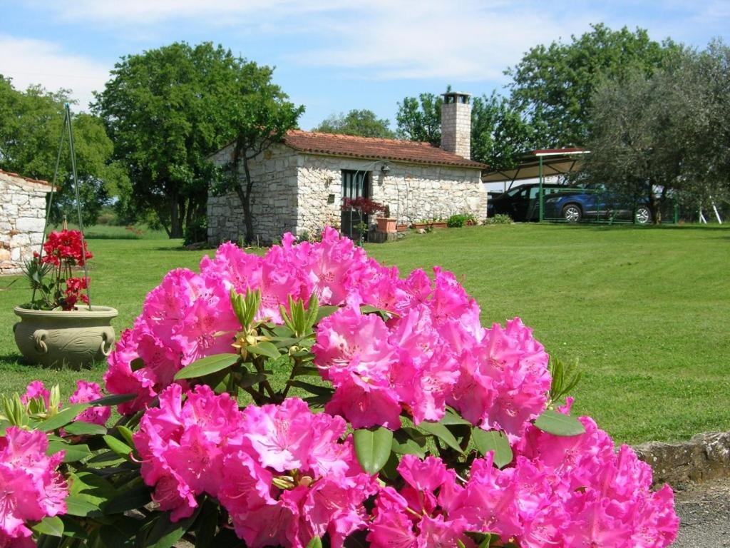 Moratto'S Apartments Umag Dış mekan fotoğraf