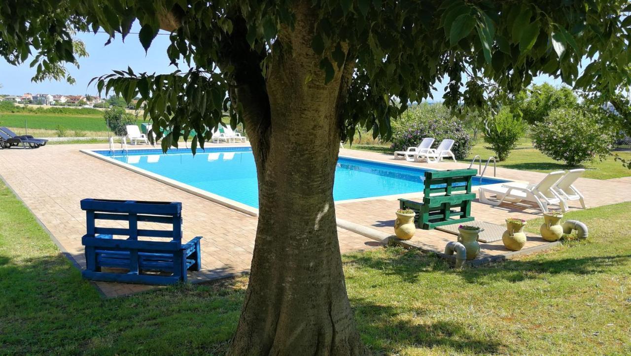 Moratto'S Apartments Umag Dış mekan fotoğraf