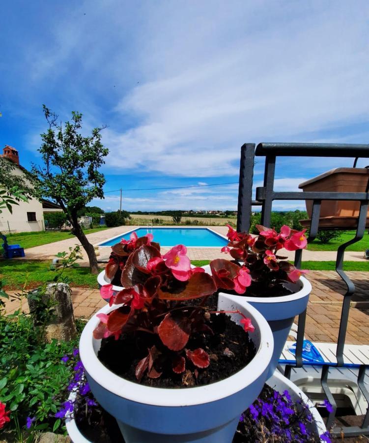 Moratto'S Apartments Umag Dış mekan fotoğraf