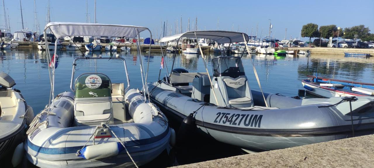 Moratto'S Apartments Umag Dış mekan fotoğraf
